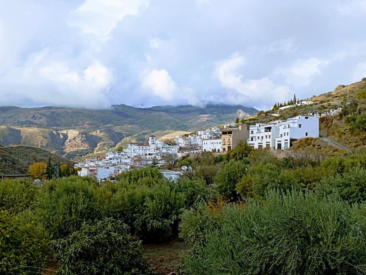 El Almendro De Maruja Torviscón Exterior foto